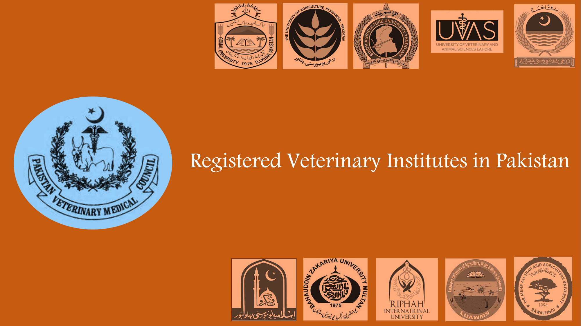 Read more about the article DVM Universities in Pakistan