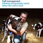 Calf Management