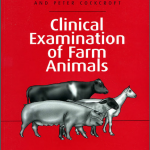 Veterinary Clinical Examination