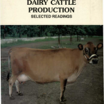 Dairy cattle production