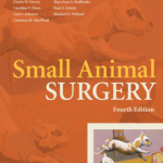 Small Animal Surgery BY Thersa Welch Fossum