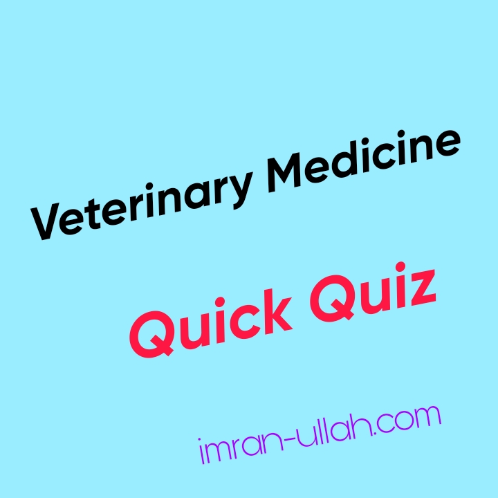 Read more about the article Veterinary Medicine Quiz for Vets