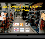 Top 5 Online Pets Stores in Pakistan
