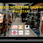 Top 5 Online Pets Stores in Pakistan