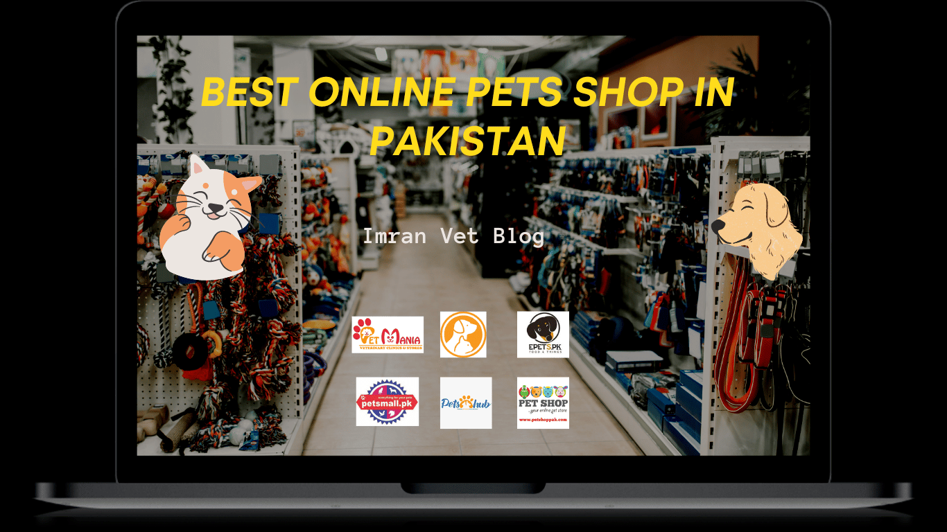 Read more about the article Top 5 Online Pets Stores in Pakistan